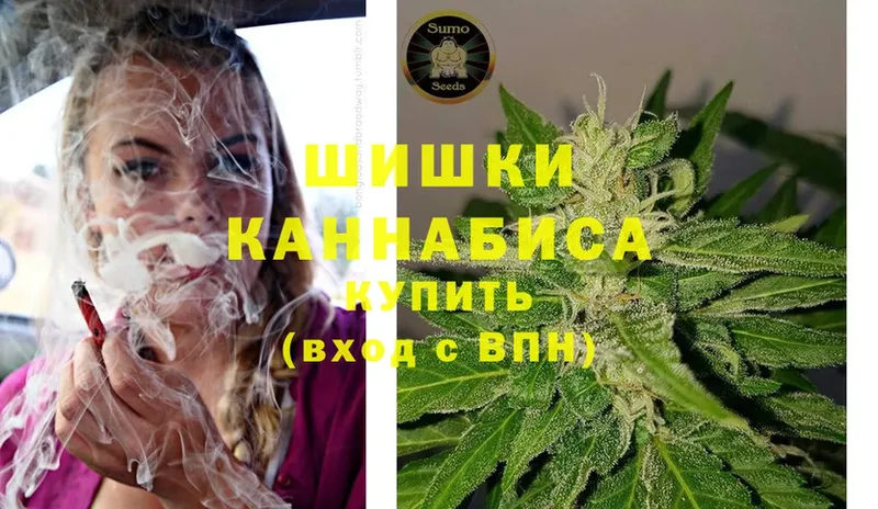 Бошки марихуана SATIVA & INDICA  Новосибирск 